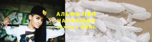 прущие крисы Зеленокумск