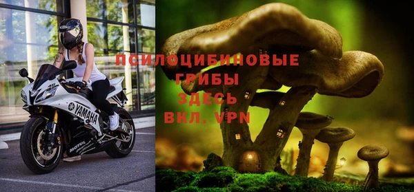 МДПВ Зерноград