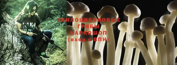 прущий лед Зеленодольск