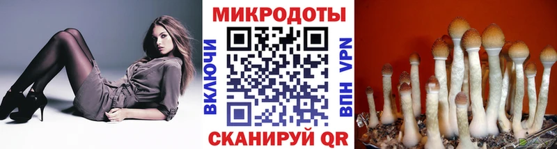 гидра ТОР  Щёлково  Галлюциногенные грибы MAGIC MUSHROOMS  как найти закладки 